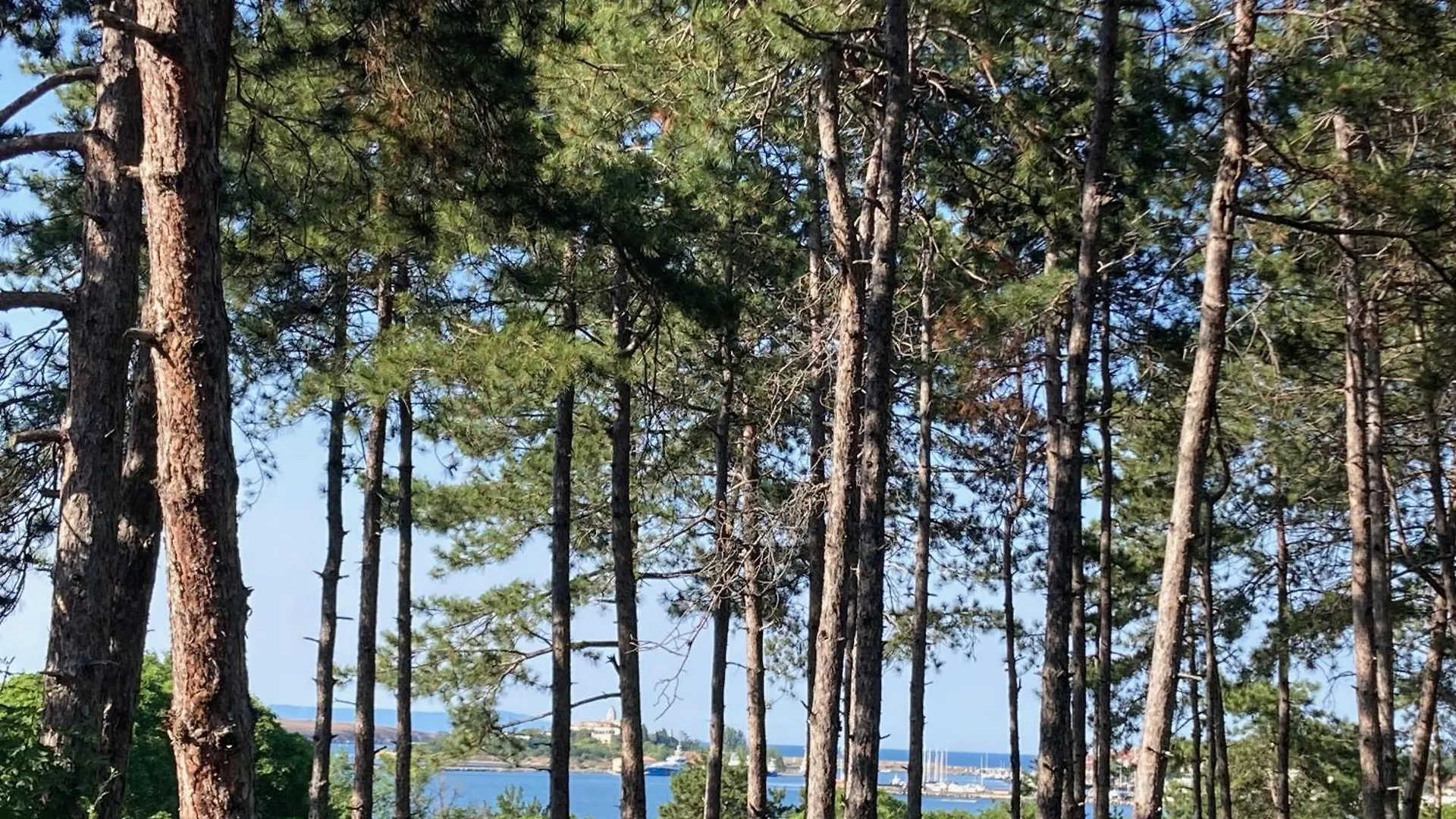 公寓 Studio Miomare, Santa Marina Holiday Village, 索佐波尔